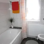 Rosa In By Interhome *
